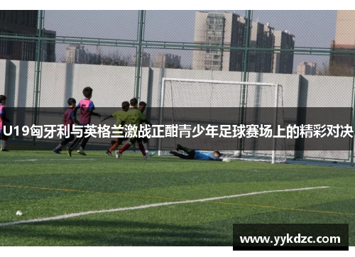U19匈牙利与英格兰激战正酣青少年足球赛场上的精彩对决